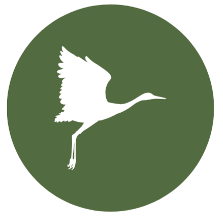 Ibis & Partners