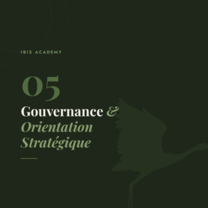 Module 05 : Gouvernance stratégique
